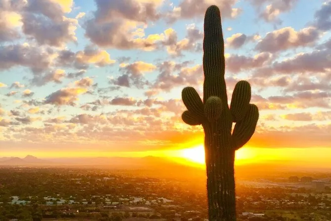 Randonnée guidée au lever ou au coucher du soleil dans le désert de Sonora